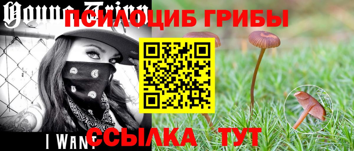 Тихвин  Галлюциногенные грибы MAGIC MUSHROOMS  Вход с VPN 